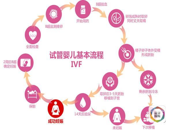 供卵试管婴儿辅助孵化技术能否提高成功率？