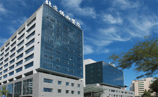 双Y染色体异常可以做第三代供卵试管婴儿吗