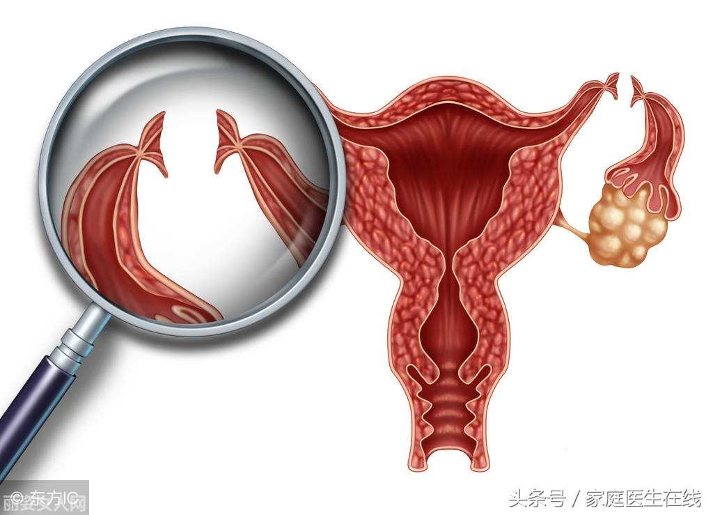 赠卵试管婴儿期间可以修指甲吗？试管婴儿医生。也许不能