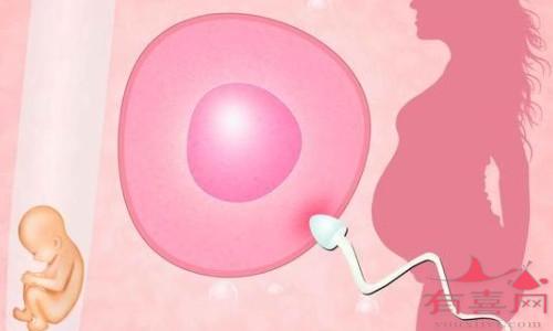 赠卵试管婴儿期间可以修指甲吗？试管婴儿医生。也许不能