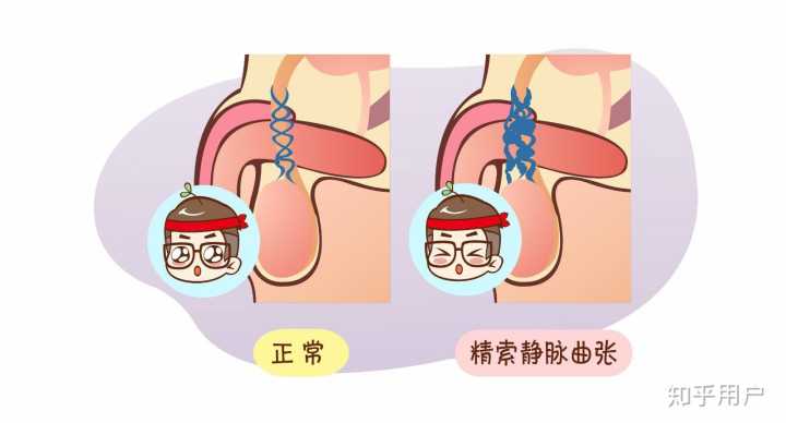 没有结婚证可以做供卵试管婴儿吗？优生优育热线