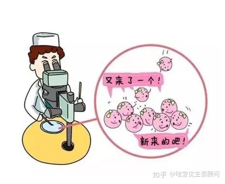 第三代供卵试管婴儿的重要性是什么