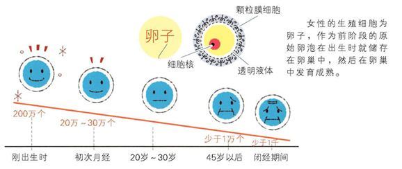 重庆市妇幼保健院供卵借卵试管代生的情况如何？