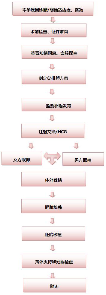 做供卵代生试管供卵可以一次性生双胞胎吗？