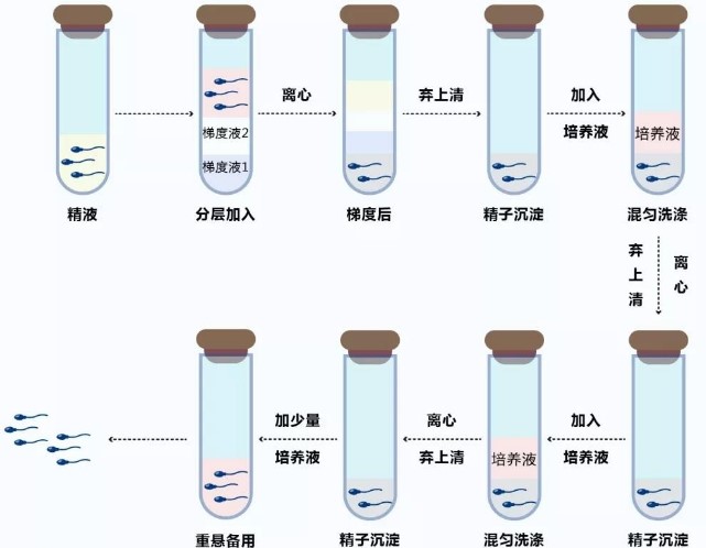 后悔通过供卵私立自怀试管生双胞胎？通过供卵试管出生的双胞胎长得不一样吗？