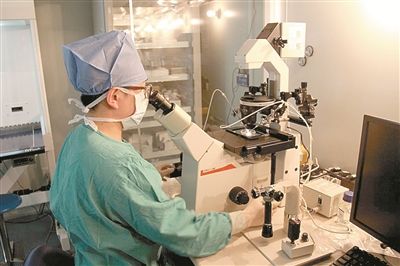 2023申请供卵试管婴儿补助