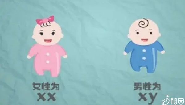 不支持借卵试管婴儿辩论赛
