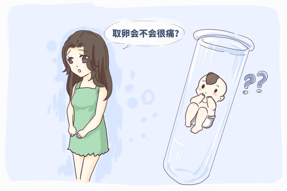 江苏南京红房子做赠卵试管挂哪个科