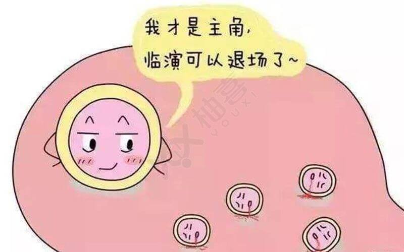 江苏南京做供卵试管成功率高么