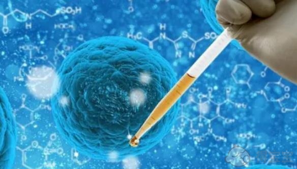 高龄供卵试管婴儿成功