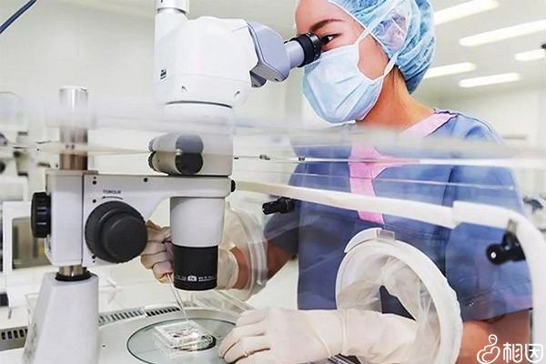 高龄供卵试管婴儿成功
