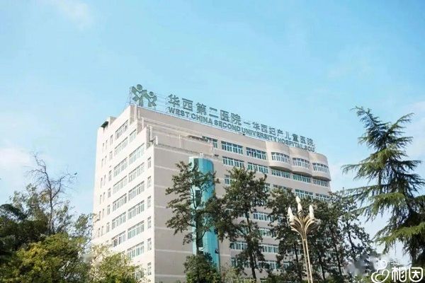 做借卵试管婴儿对身体有什么要求