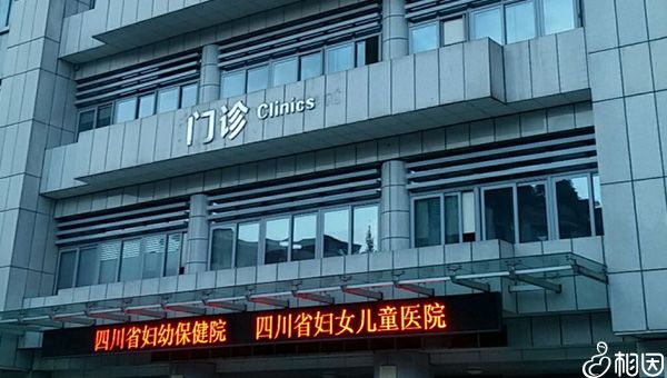 试管婴儿取完卵后的流程