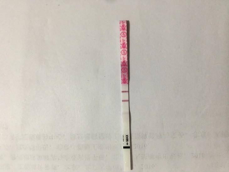 试管代怀孕的儿童教育经历分享