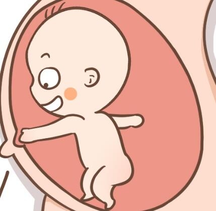 南京远东医院失独再生需要多少钱？成功率高吗？
