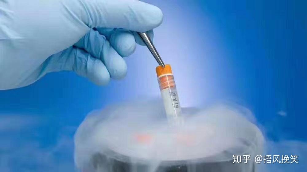 江苏南京附属医院试管代怀费用为多少成功率高吗