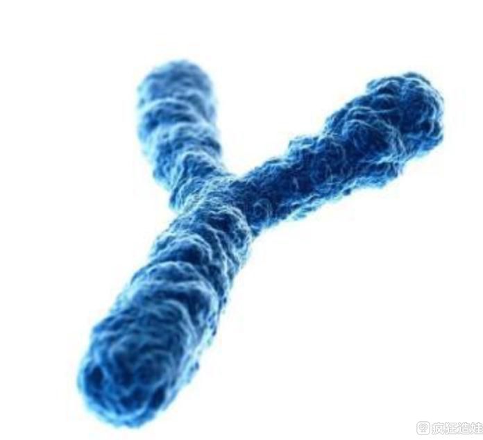 精子库层流的要求