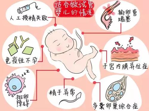 试管代怀公司网夫妻双方进周后需要注意些什么+