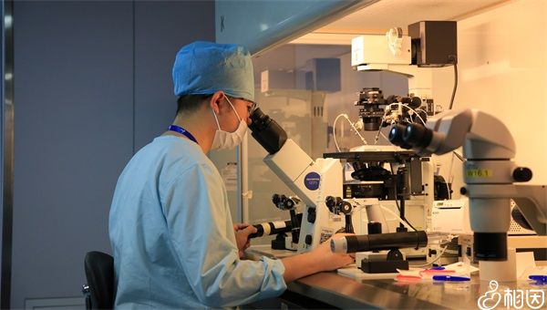 提升江苏南京代怀代生孩子有吗成功率的5件事,心态好只是其一