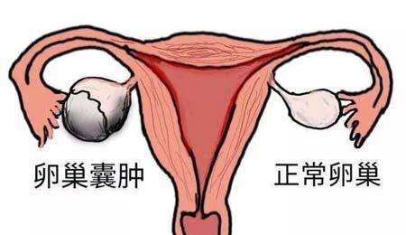 供卵代怀生男孩费用胚胎等级-胚胎级别高是不是就意味着胚胎质量好