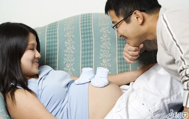 代怀包生女孩价格女性需要检查项目+试管代怀产子费用公告90%不是自己的