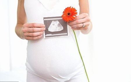 妇幼试管代怀流程详解大概多少钱