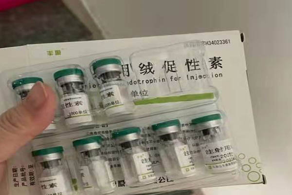 优势卵泡无优势卵泡能不能做人授
