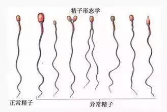 南京北大医院试管二级胚胎（南京市北大医院试管之路）