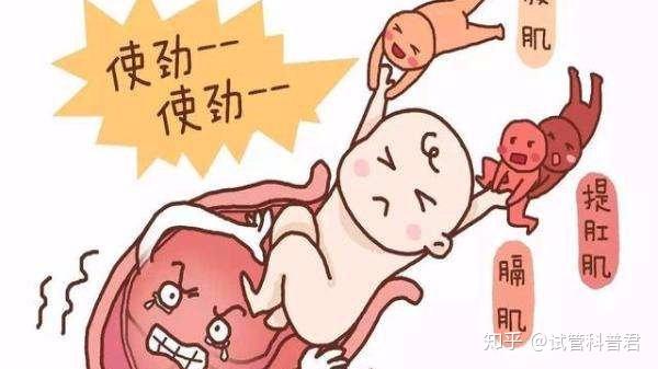 南京医科大学附属第一医院供精试管多少钱（十万够吗？）