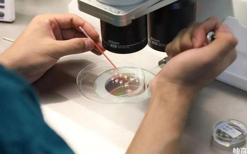 有些人进入试管周期为什么需要做免疫监测
