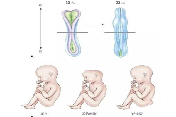 南京哪个医院可以做第三代试管供卵机构选择性别