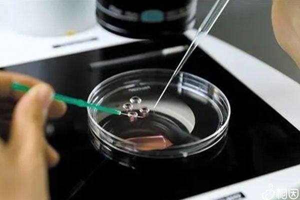 移植囊胚4bb第十天白板还能翻盘吗