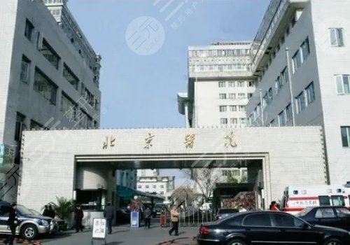 南京精子库QQ号+武音表白墙